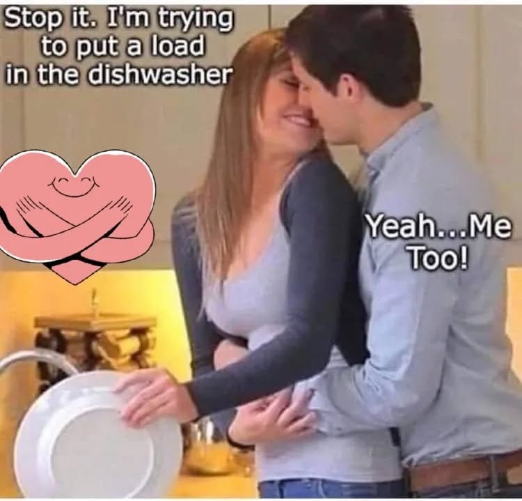 put load in dishwaher