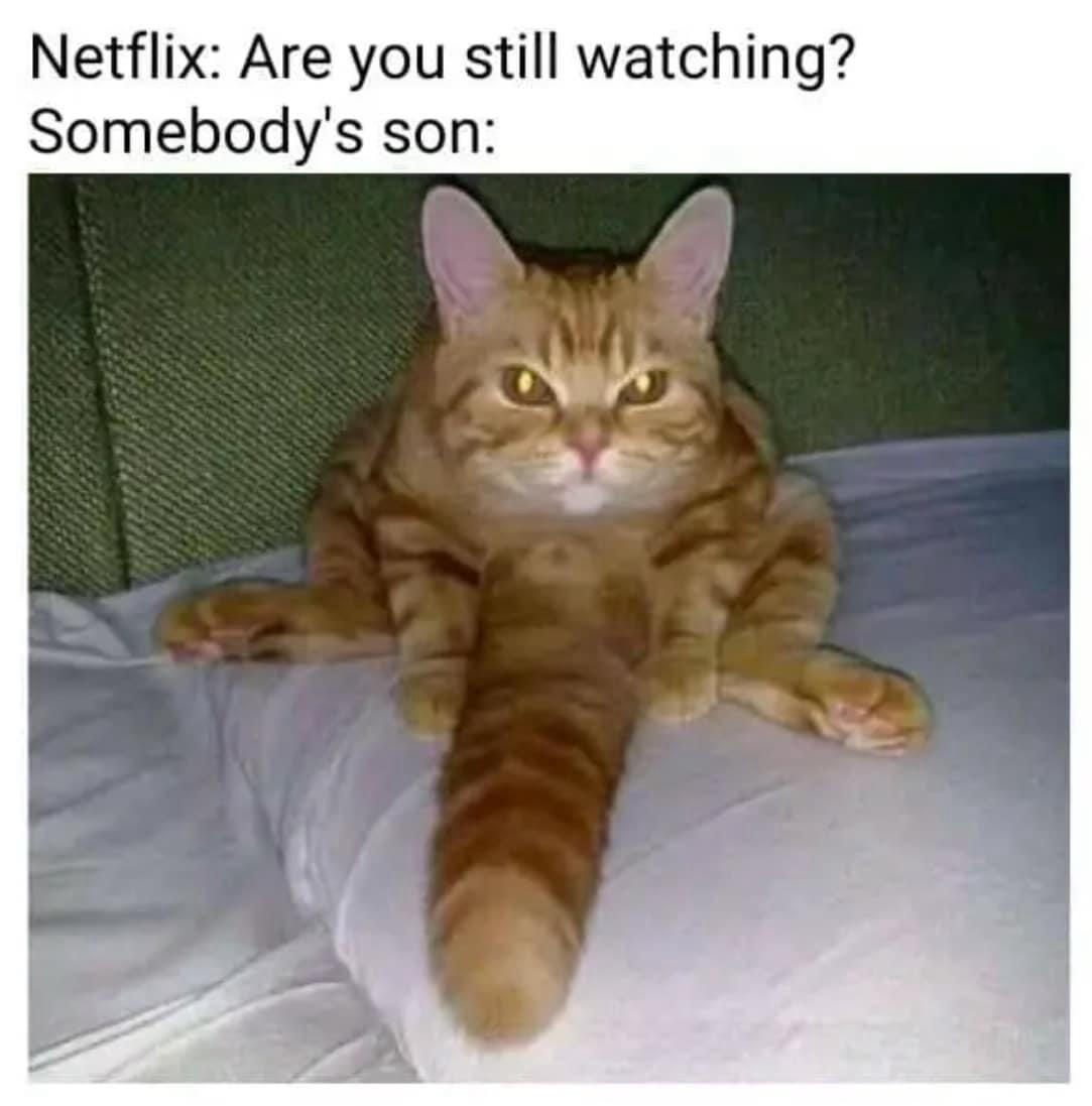 35 Naughty Memes That Are Basically Just Foreplay With Fonts 37 re you still watching