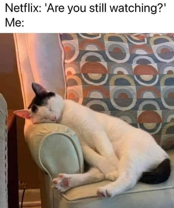 20 Memes That Have Zero Context and Unlimited Confidence 12 re you still watching