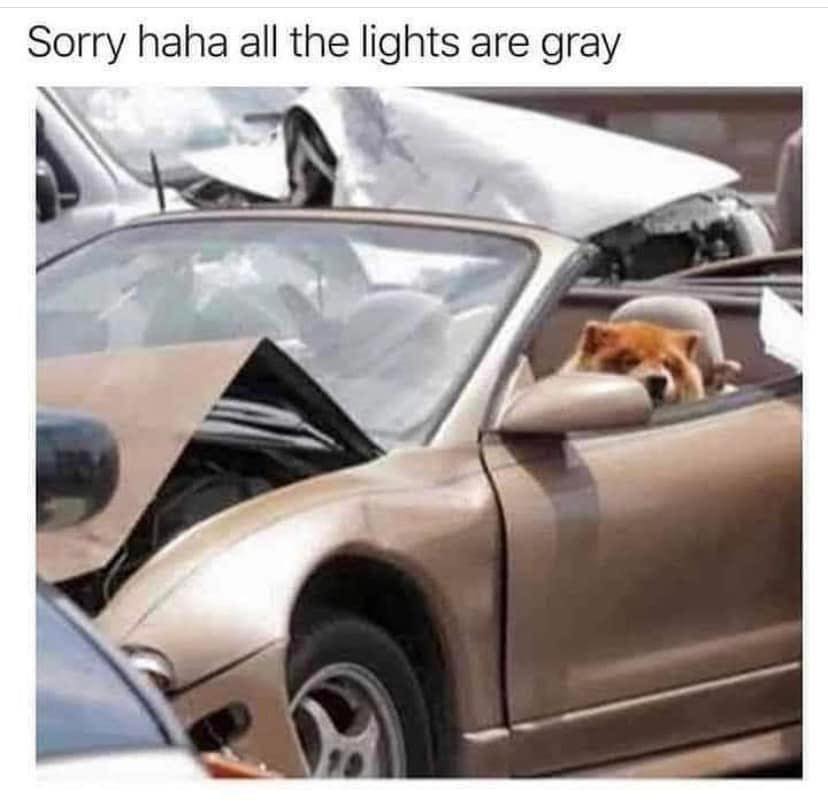 the lights are gray