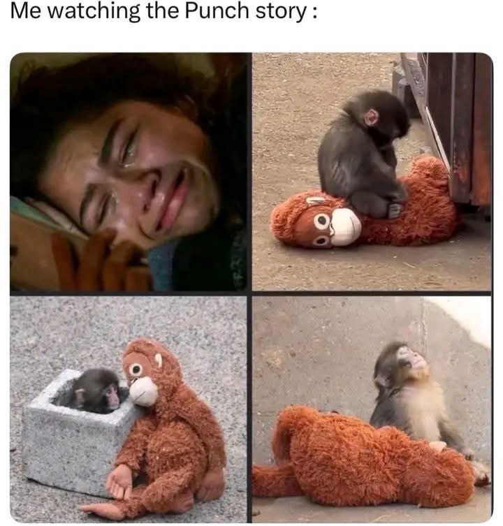 watching the punch story