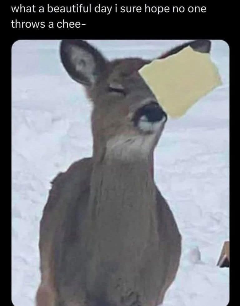 20 Memes That Think They’re Funny 13 what a beautiful day