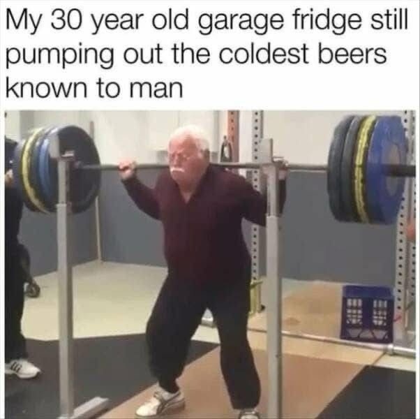 30 year old garage fridge