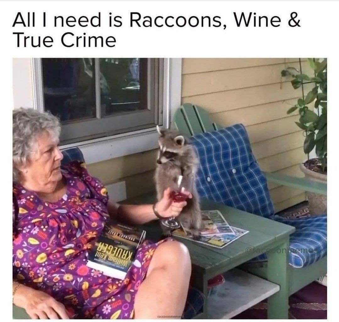 20 Memes That Feel Illegal to Understand 3 All I need is racoons