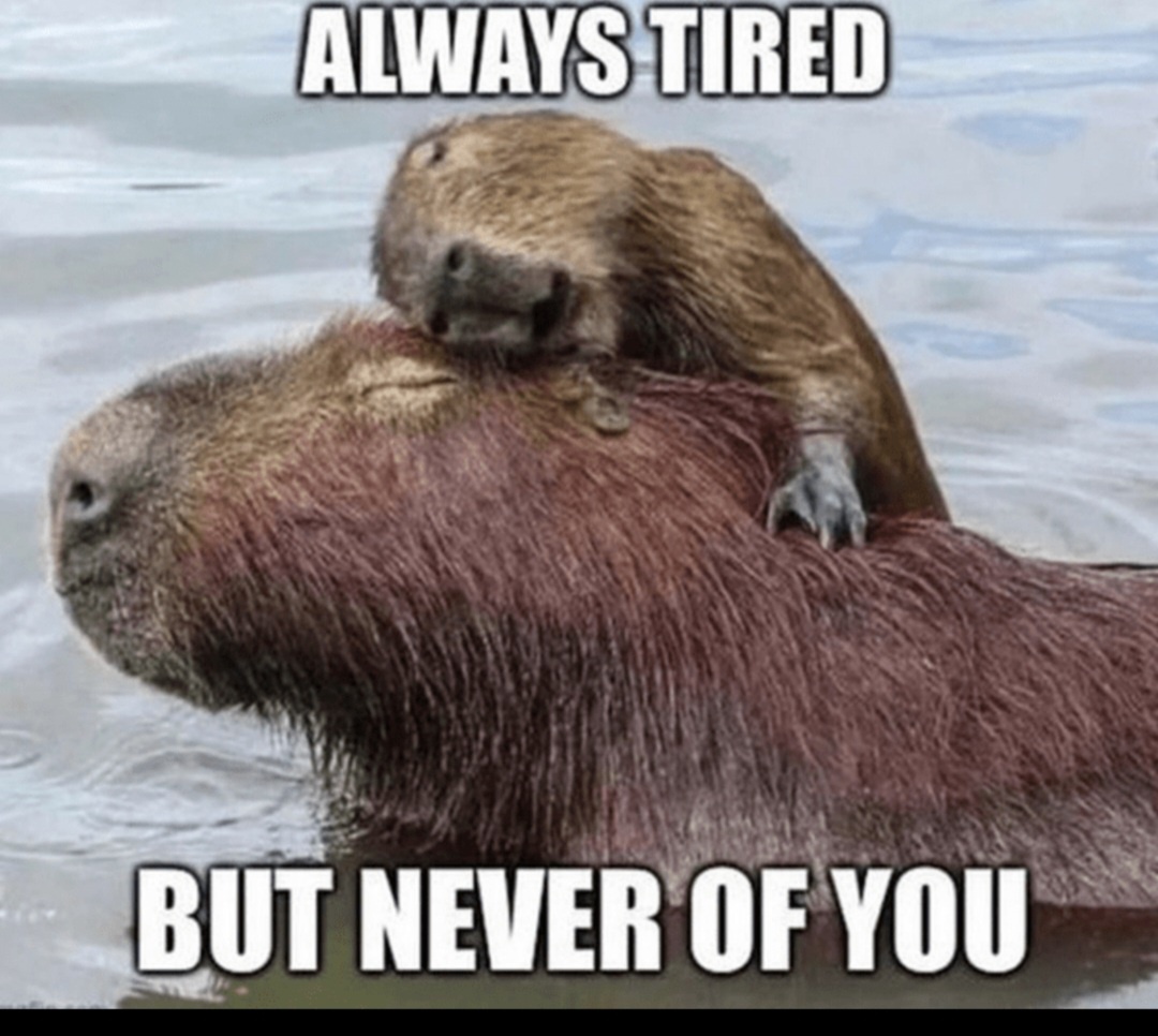 20 Memes to Send Your Wife That Will Make Her Laugh… or Raise an Eyebrow 3 Always tired