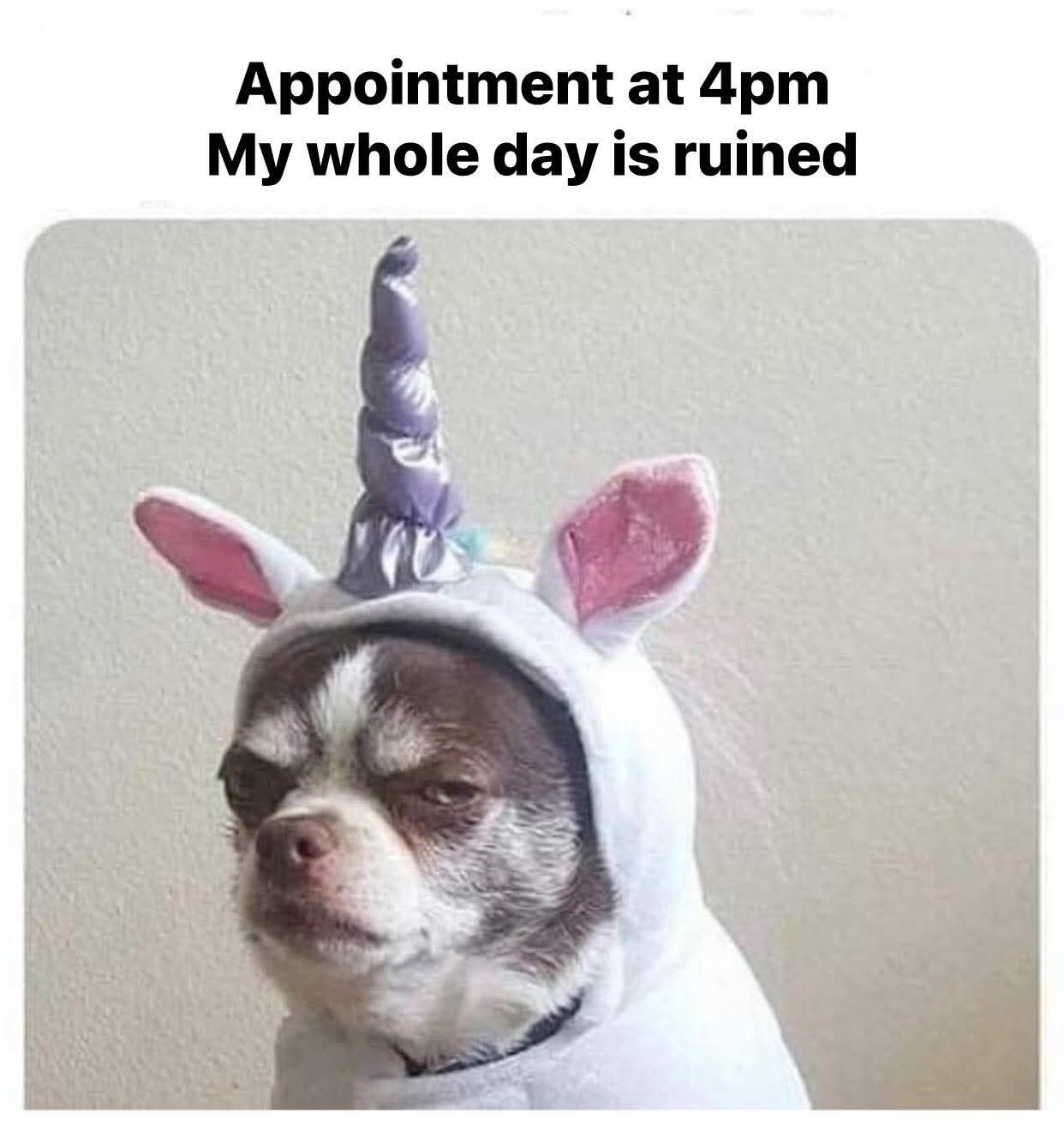 Appointment at 4pm