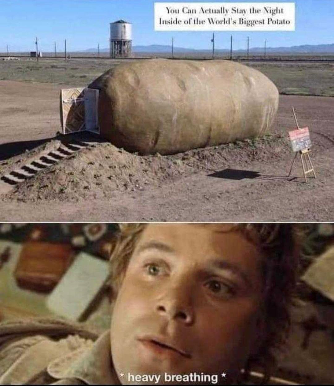 Biggest potato
