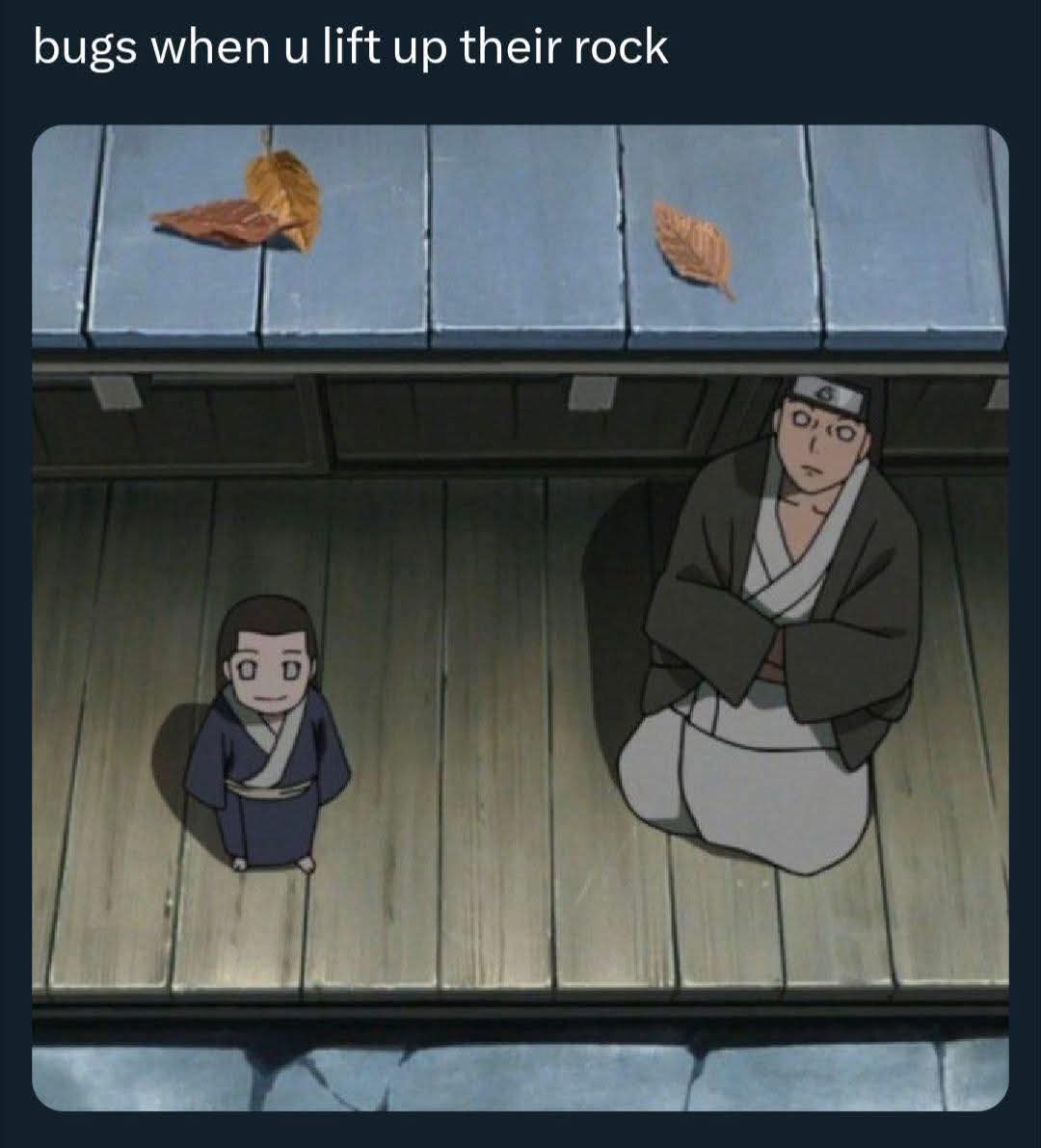 20 Memes That Bring Premium Nonsense to the Table 4 Bugs when you lif rock