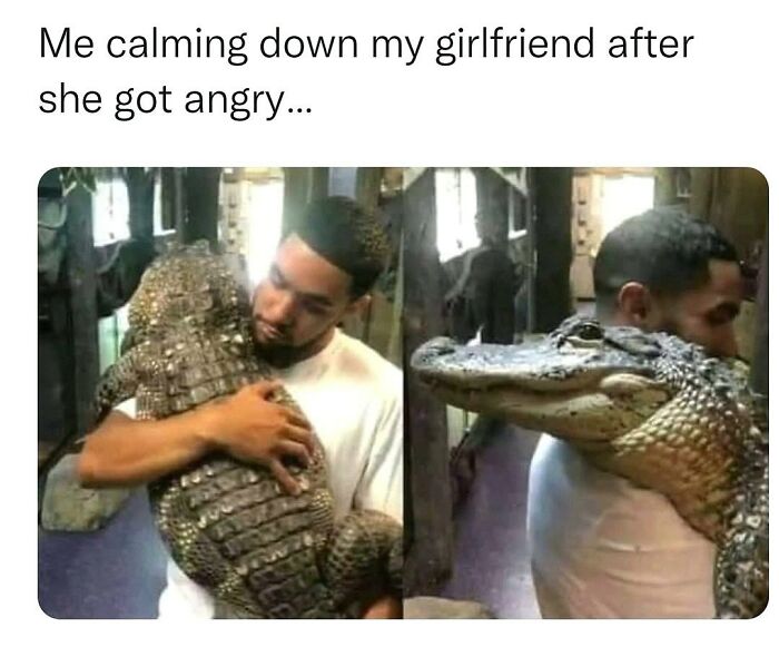 20 Dumb Genius Animal Memes That Escalate Into Unexpected Brilliance 4 Calming down