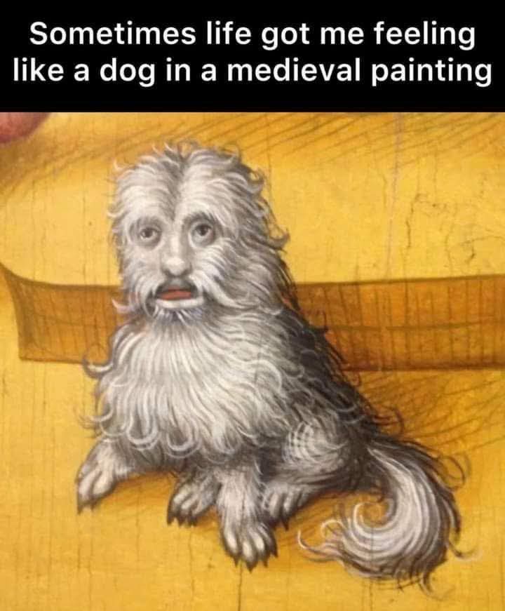 20 Memes Mixing Forecasts, Chaos, and Completely Random Humor 3 Dog ine medieval painting