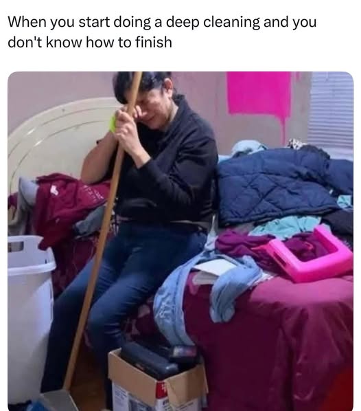 20 Memes That Can’t Decide If They’re Joking or Judging You 5 Doing a deep cleaning