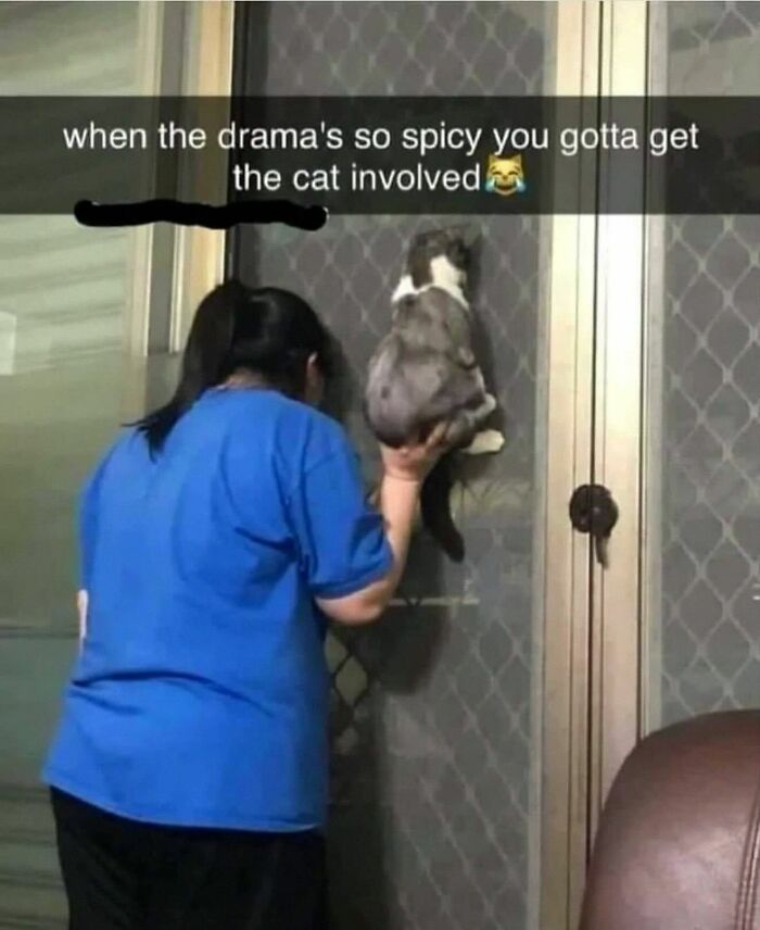 20 Dumb Genius Animal Memes That Escalate Into Unexpected Brilliance 5 Drams so spice