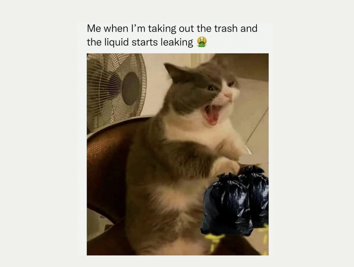 Dumb Genius Animal Memes That Escalate Into Unexpected Brilliance FG