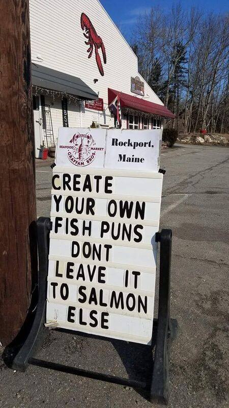 20 Silly Signs That'll Make You Stop, Read, and Laugh Immediately 5 Fish puns