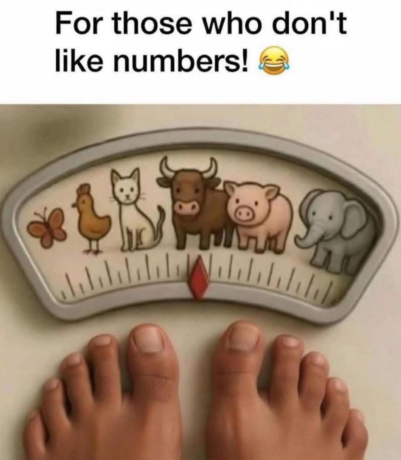 For those who dont like numbers