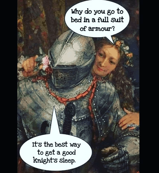 20 Memes That Could Make Even the Most Serious Face Crack 5 Full suit of armour