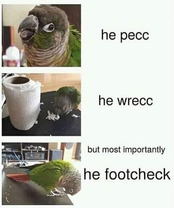 He peckk