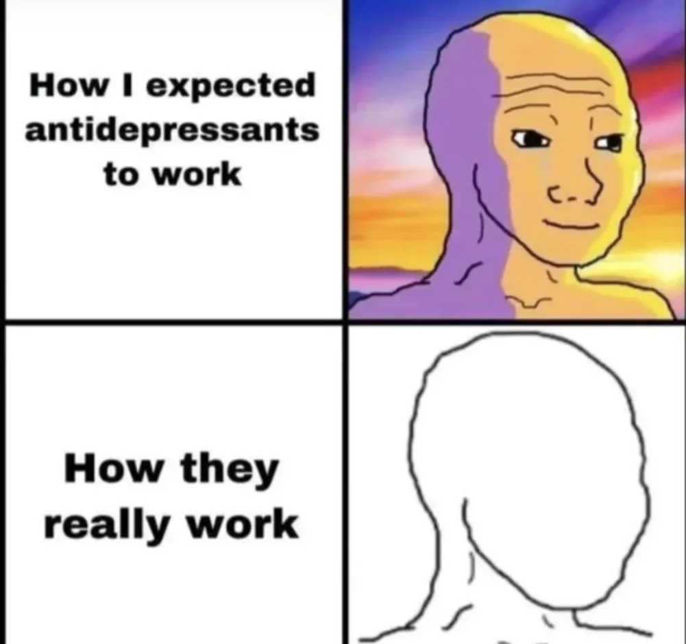 20 Memes About Depression That Are Easier To Laugh At Than Deal With 8 How I expected antidepressants to work