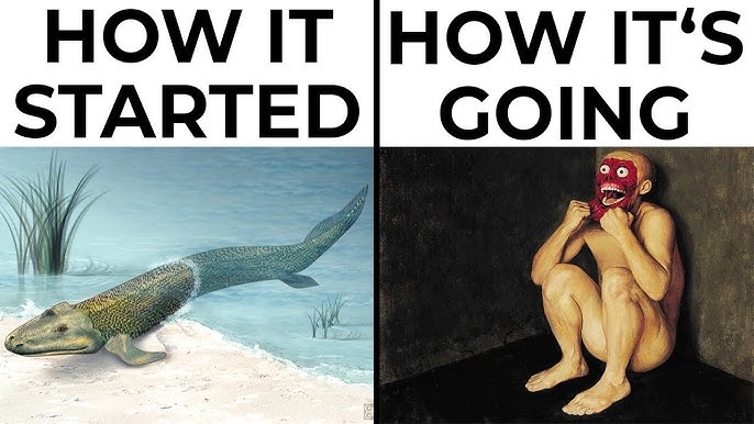 20 Memes Mixing Forecasts, Chaos, and Completely Random Humor 8 How it started