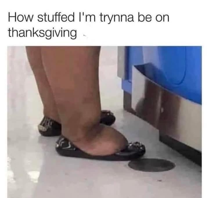 20 Memes That Bring Premium Nonsense to the Table 9 How stuffed