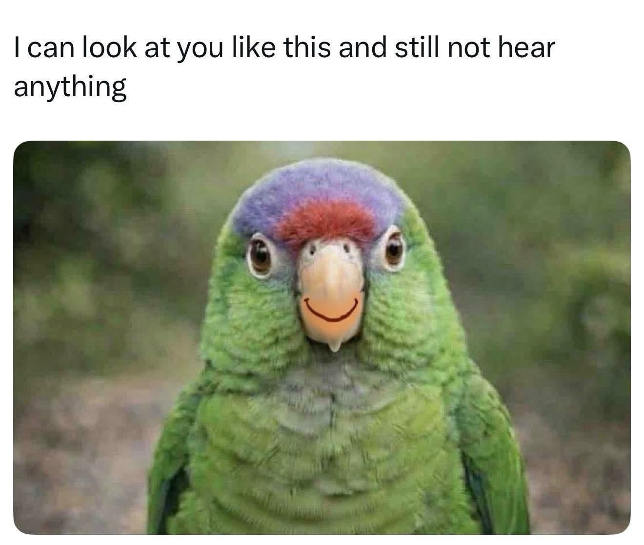 20 Memes That Have Absolutely No Backstory 12 I can look at you