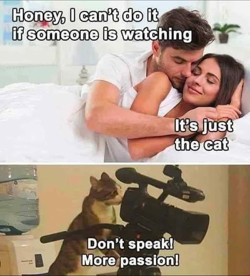 20 Memes that (probably) won’t make you horny. 8 I cant do it