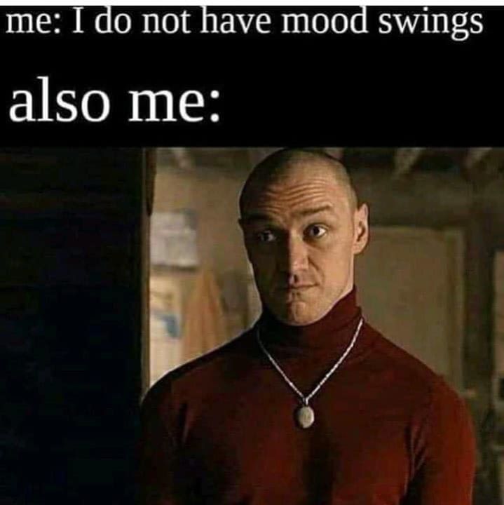 20 Memes That Can’t Decide If They’re Joking or Judging You 8 I do not have mood swings