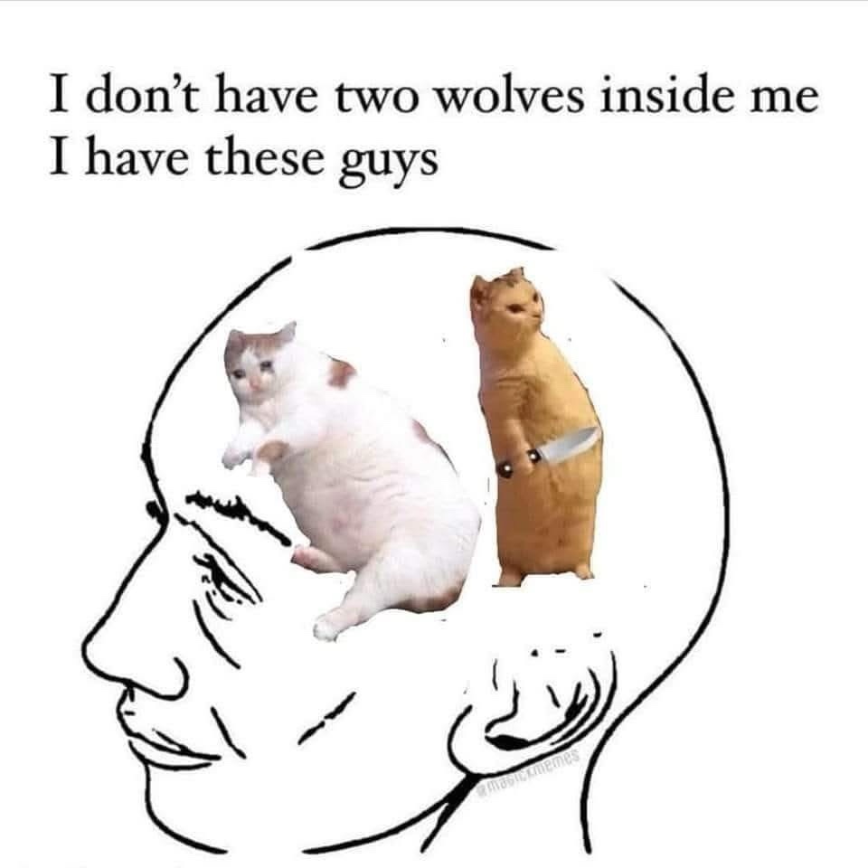 20 Memes That Feel Illegal to Understand 9 I dont have two wolves