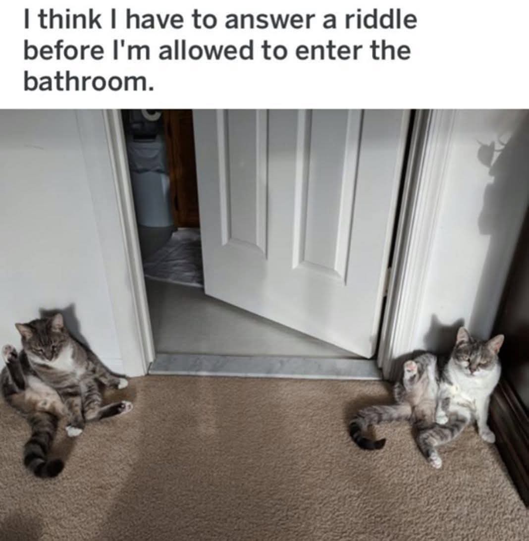 30 Memes That Will Keep You Smiling Silently 30 I have to answer a riddle