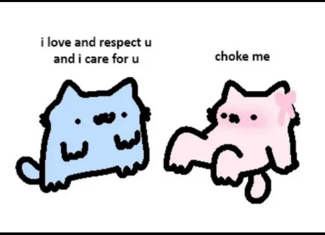 20 Memes to Send Your Wife That Will Make Her Laugh… or Raise an Eyebrow 9 I love and respect you