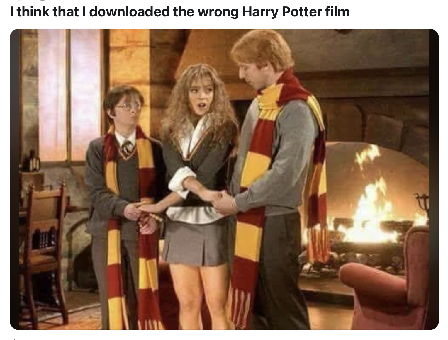 20 "I Think I Downloaded the Wrong Movie" Memes That Went Off Script Instantly 5 I think that I downloaded the wrong Harry Potter film