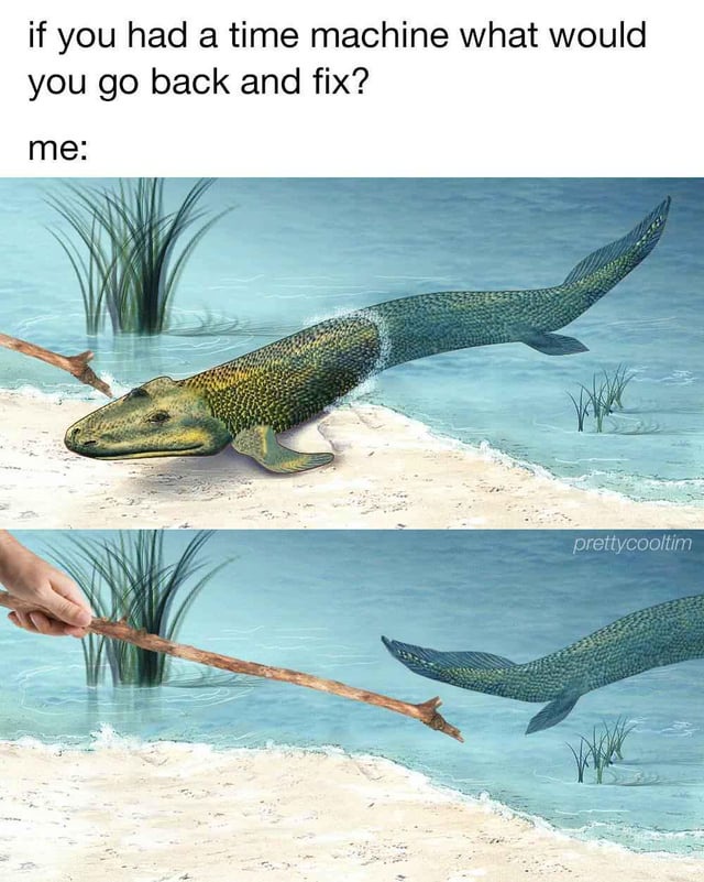 20 Memes Mixing Forecasts, Chaos, and Completely Random Humor 9 If you had time machine