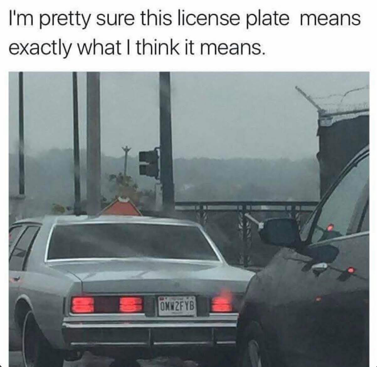 20 Questionable Memes That Made You Reread Them Very Slowly 10 Im pretty sure