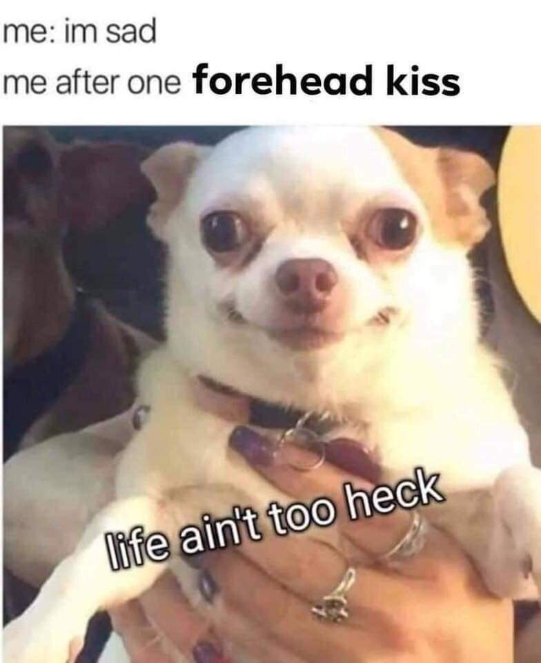 20 Memes That Could Make Even the Most Serious Face Crack 10 Im sad