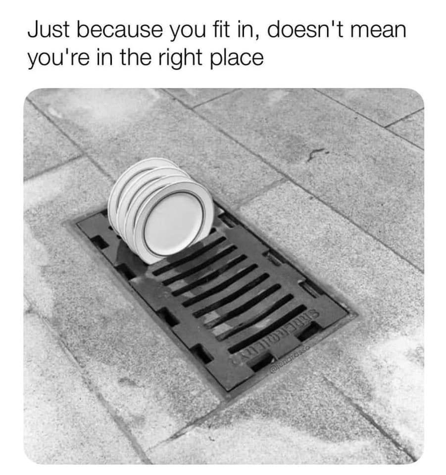 20 Memes That Feel Like a Conversation Between Two Broken Thoughts 14 Just because you fit in