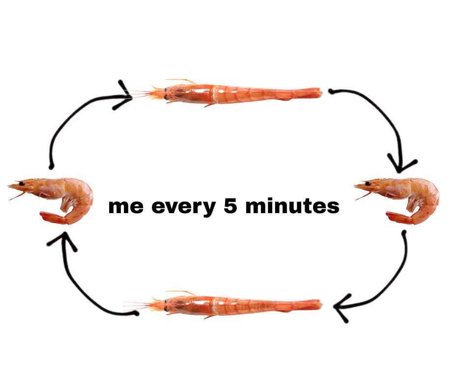 20 Memes That Feel Like Your Brain Arguing With Itself 15 Me every 5 minutes