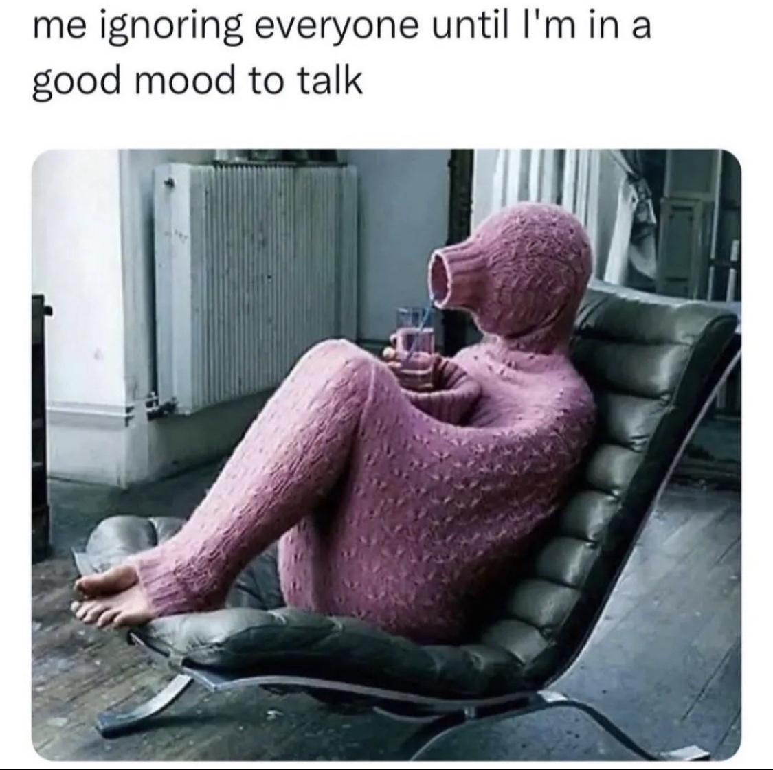 20 Memes That Could Make Even the Most Serious Face Crack 14 Me ignorin everyone