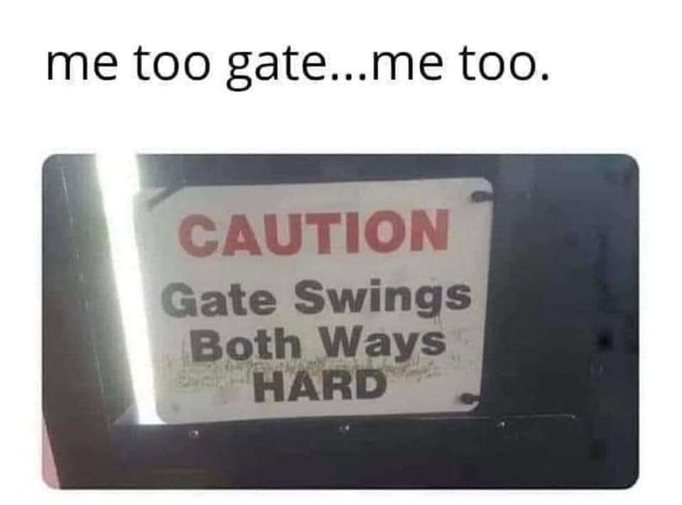 20 Memes That’ll Absolutely Wreck Your Ability to Be a Serious Adult 11 Me too gate