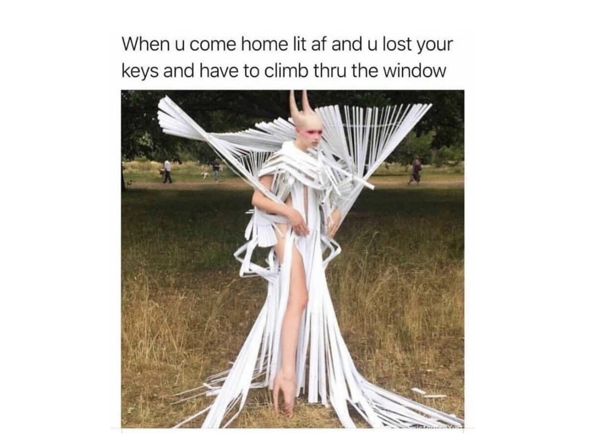 Memes Arrive With Zero Setup And Maximum Confusion FG