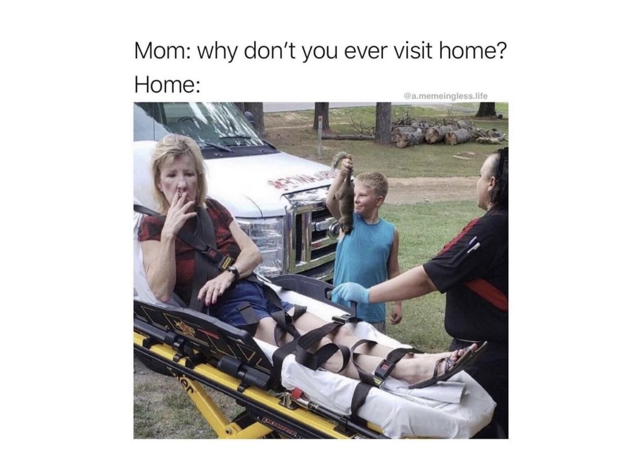 Memes That Slip Into Your Day and Derail It Beautifully FG