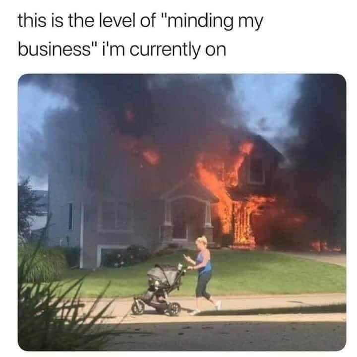 20 Memes That’ll Cause Uncontrollable Wheezing and Mild Chaos 12 Minding my business