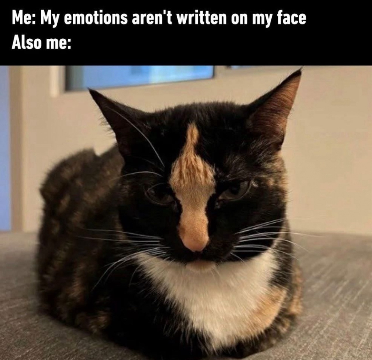 20 Memes That Started as Humor and Became a Situation 13 My emotions arent written on my face