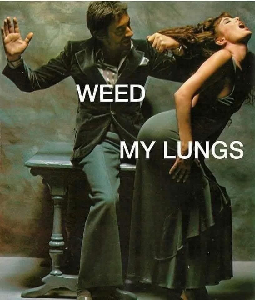 20 Memes That Are 10% Humor and 90% Bad Influence 17 My lungs