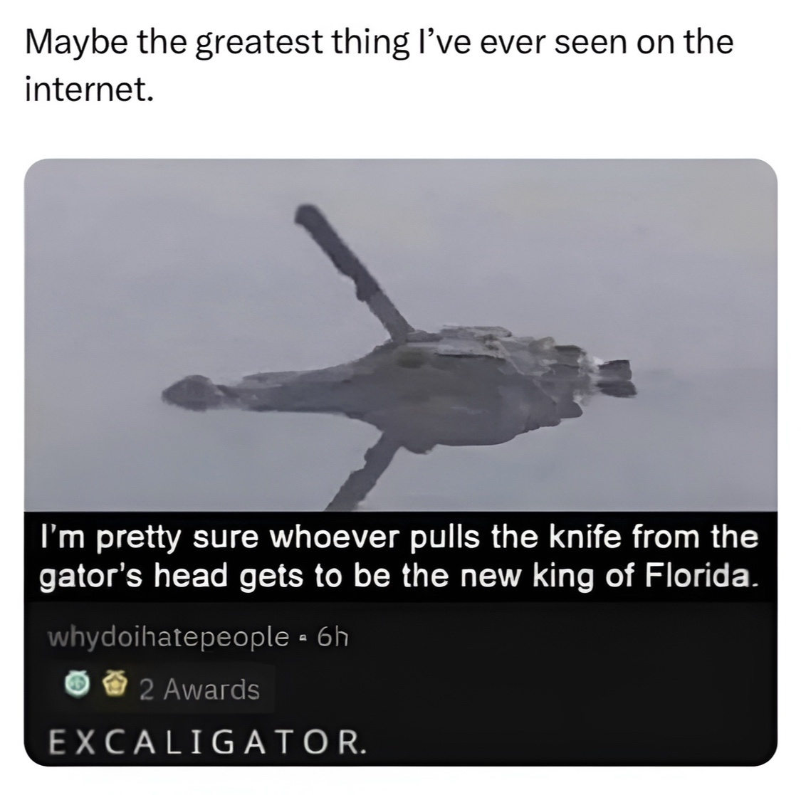 Mybe the hreatest thing