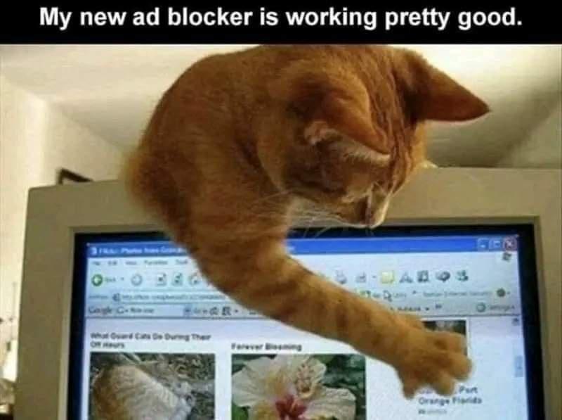 20 Memes That Could Make Even the Most Serious Face Crack 15 New ad blocker