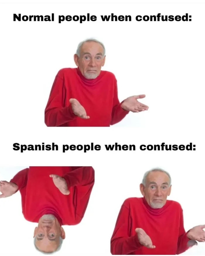 20 Memes That Bring Premium Nonsense to the Table 10 Normal people when confused