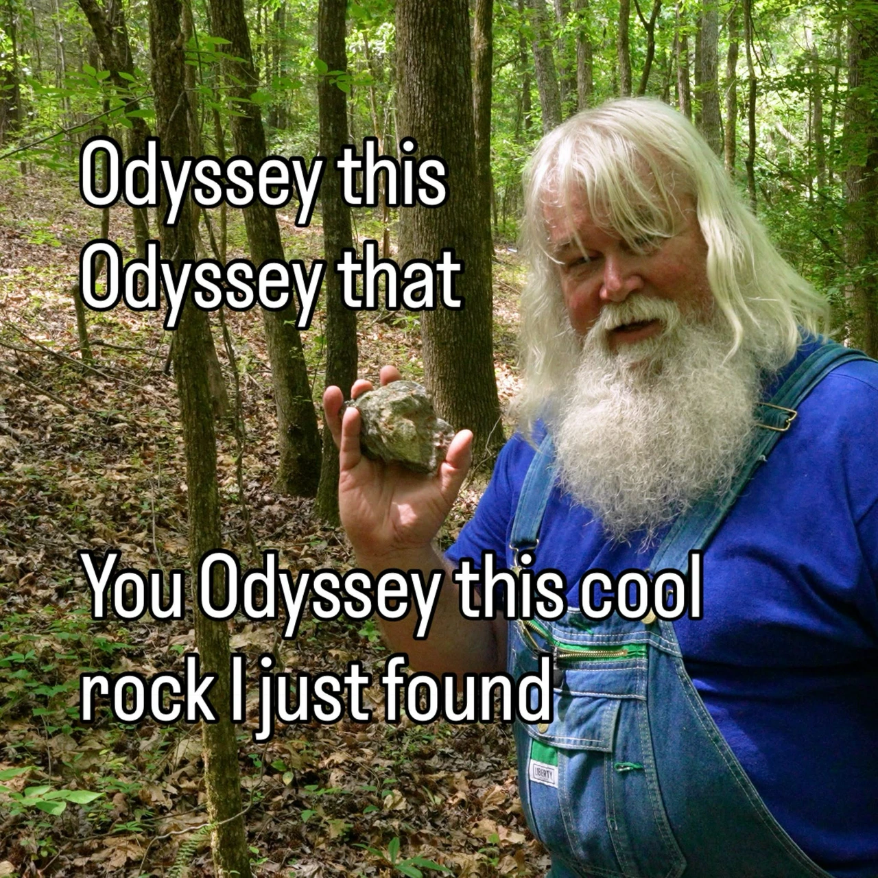 25 Memes That Are 99% Nonsense and 100% Funny 26 Odyssey this