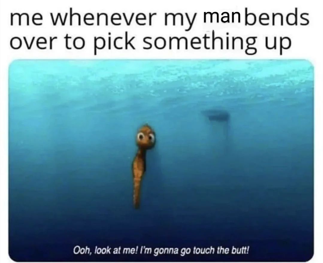 20 Memes to Send Your Wife That Will Make Her Laugh… or Raise an Eyebrow 13 Ohh look at me