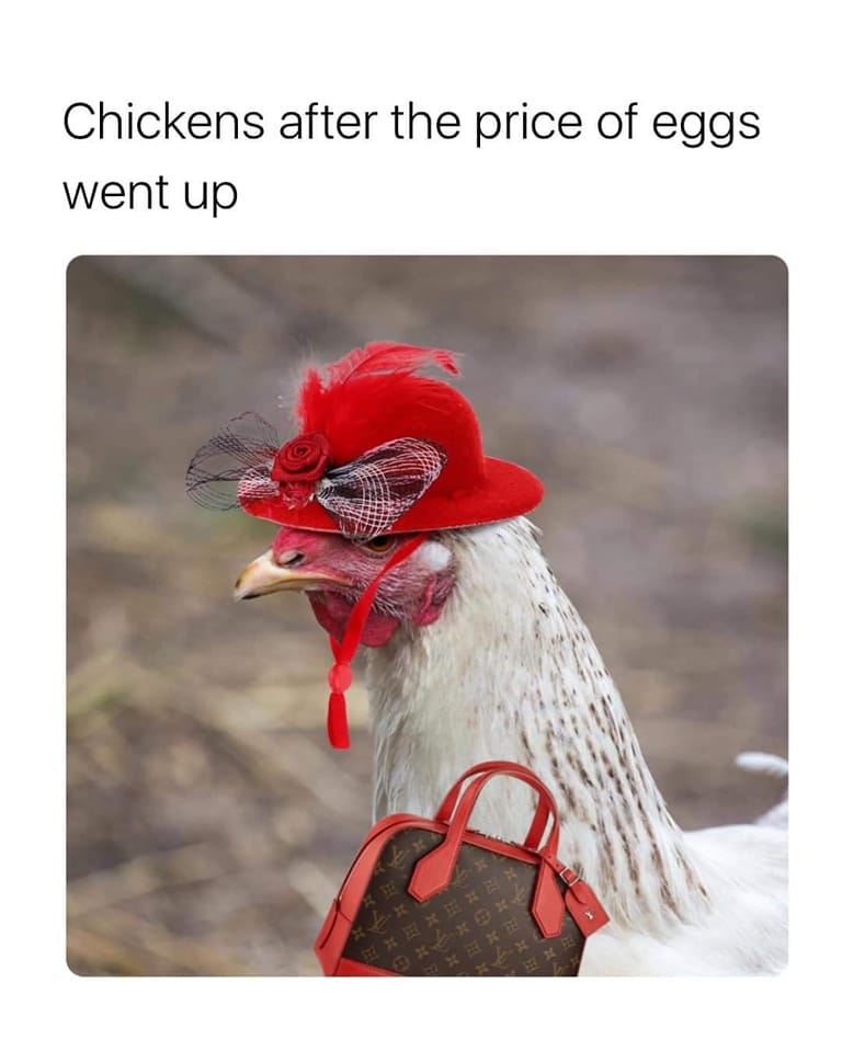 20 Memes That Can’t Decide If They’re Joking or Judging You 16 Price of eggs