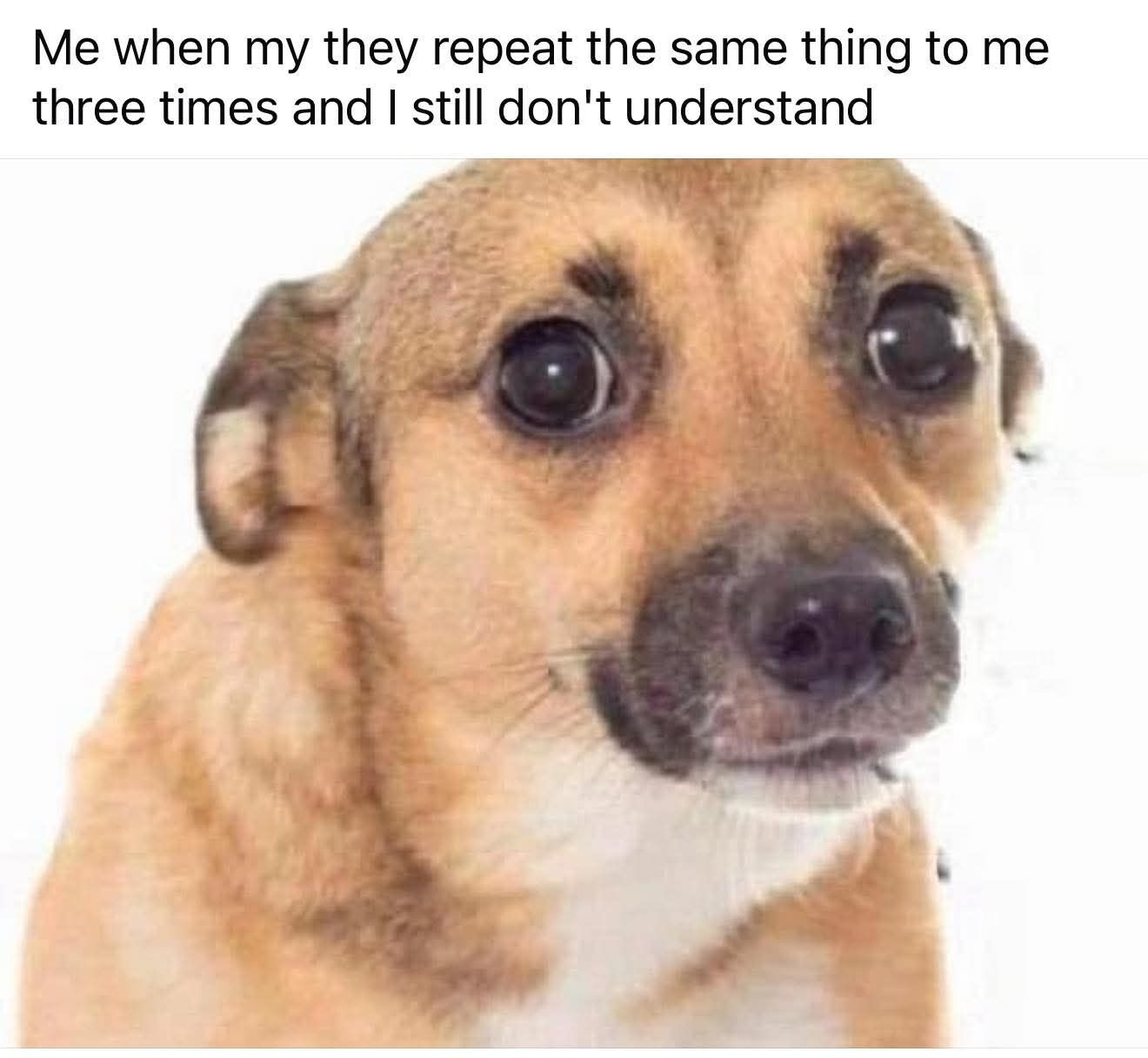20 Memes That Cover Every Mood You Didn’t Know You Had 16 Repeat the same thing